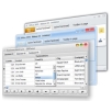 Almediadev BusinessSkinForm VCL 用戶介面控件工具