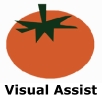 Visual Assist  編碼輔助插件